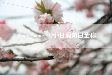 新泰11月9日消防日全称