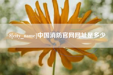 新泰中国消防官网网址是多少