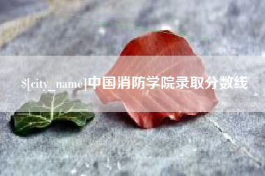 新泰中国消防学院录取分数线