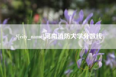 新泰河南消防大学分数线