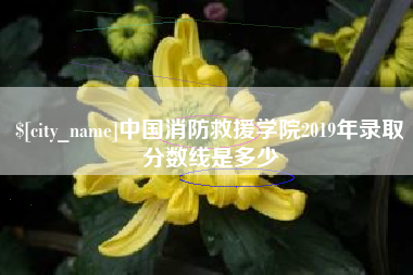 新泰中国消防救援学院2019年录取分数线是多少