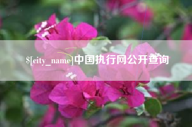 新泰中国执行网公开查询