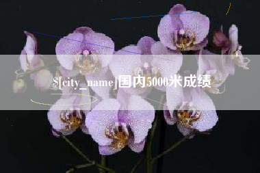 新泰国内5000米成绩