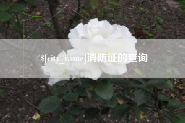 新泰消防证的查询