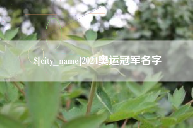 新泰2024奥运冠军名字