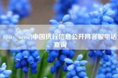 新泰中国执行信息公开网客服电话查询