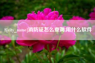 新泰消防证怎么查询,用什么软件