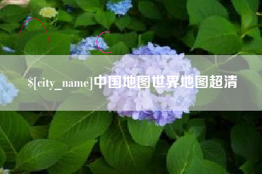 新泰中国地图世界地图超清