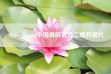 新泰中国消防官方二维码图片