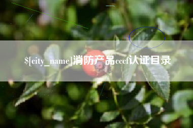 新泰消防产品cccf认证目录
