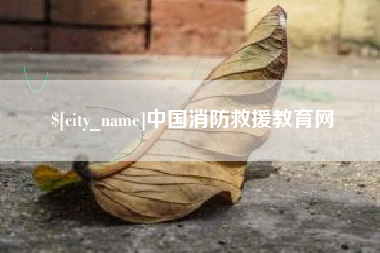 新泰中国消防救援教育网