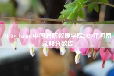 新泰中国消防救援学院2020年河南录取分数线