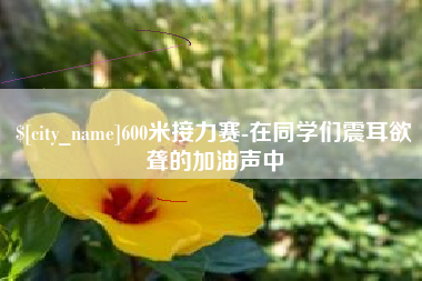 新泰600米接力赛-在同学们震耳欲聋的加油声中