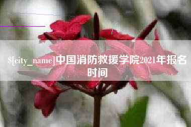 新泰中国消防救援学院2021年报名时间