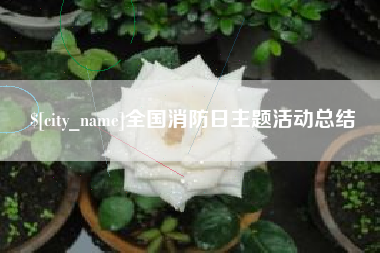 新泰全国消防日主题活动总结