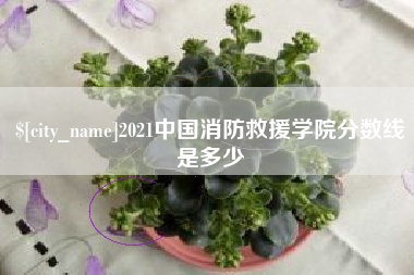 新泰2021中国消防救援学院分数线是多少