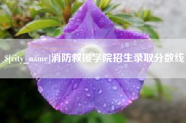 新泰消防救援学院招生录取分数线