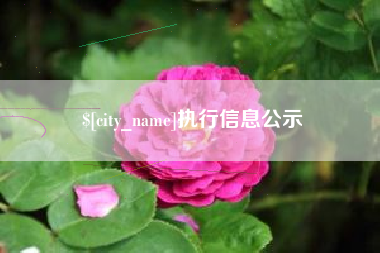 新泰执行信息公示