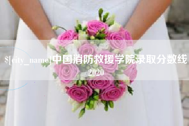 新泰中国消防救援学院录取分数线2020
