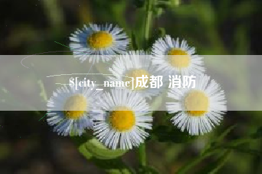 新泰成都 消防