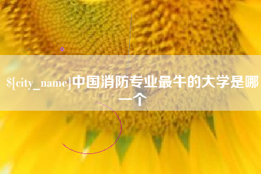 新泰中国消防专业最牛的大学是哪一个