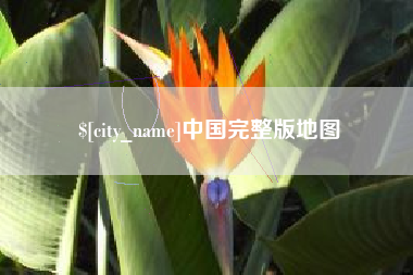 新泰中国完整版地图