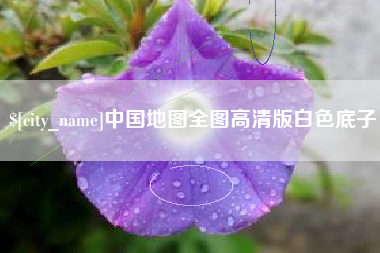 新泰中国地图全图高清版白色底子