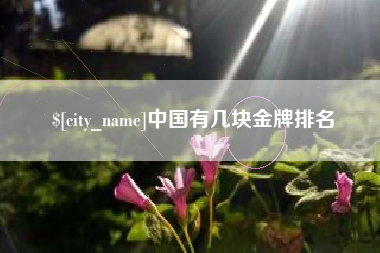新泰中国有几块金牌排名