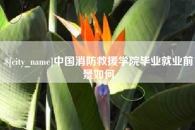 新泰中国消防救援学院毕业就业前景如何