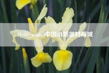 新泰中国消防器材商城