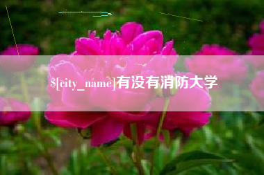 新泰有没有消防大学