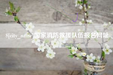 新泰国家消防救援队伍报名网址