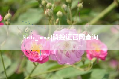 新泰消控证官网查询