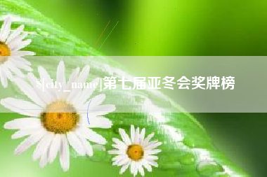 新泰第七届亚冬会奖牌榜
