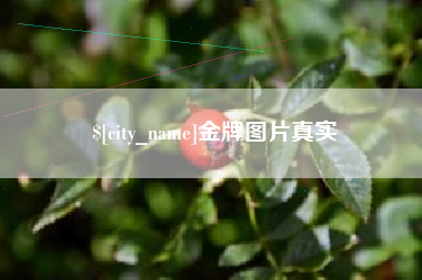 新泰金牌图片真实