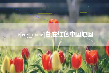 新泰白底红色中国地图