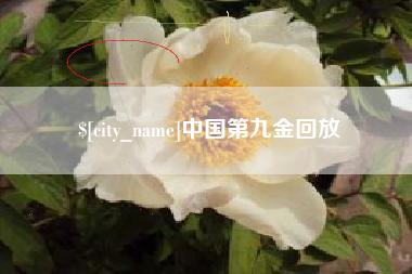 新泰中国第九金回放