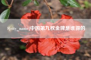 新泰中国第九枚金牌是谁得的