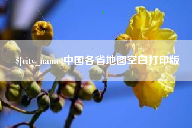 新泰中国各省地图空白打印版