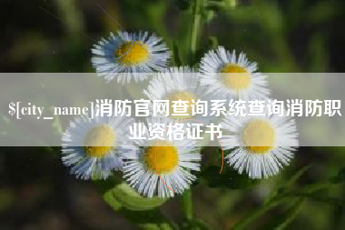 新泰消防官网查询系统查询消防职业资格证书