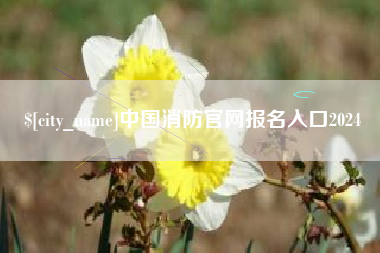 新泰中国消防官网报名入口2024
