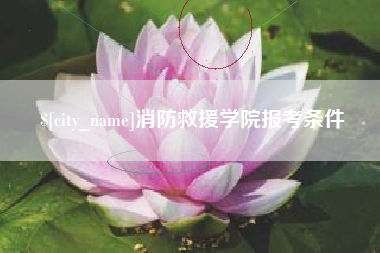 新泰消防救援学院报考条件