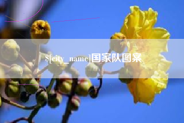 新泰国家队图案