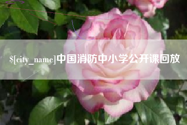 新泰中国消防中小学公开课回放
