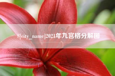 新泰2021年九宫格分解图