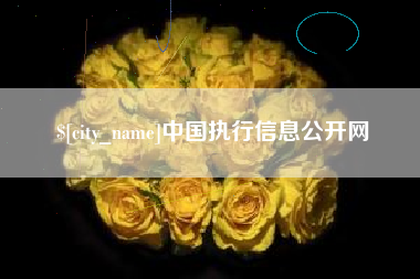 新泰中国执行信息公开网