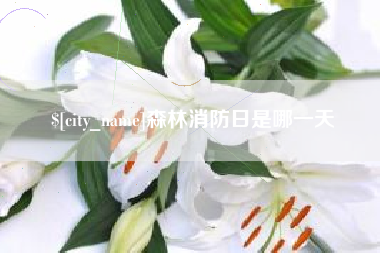 新泰森林消防日是哪一天