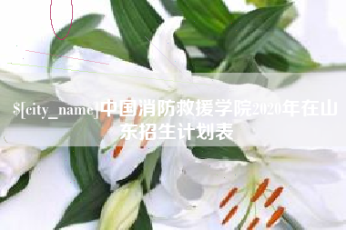 新泰中国消防救援学院2020年在山东招生计划表