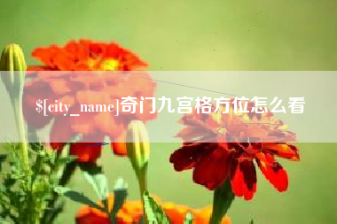新泰奇门九宫格方位怎么看