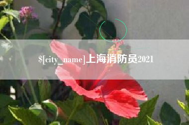 新泰上海消防员2021